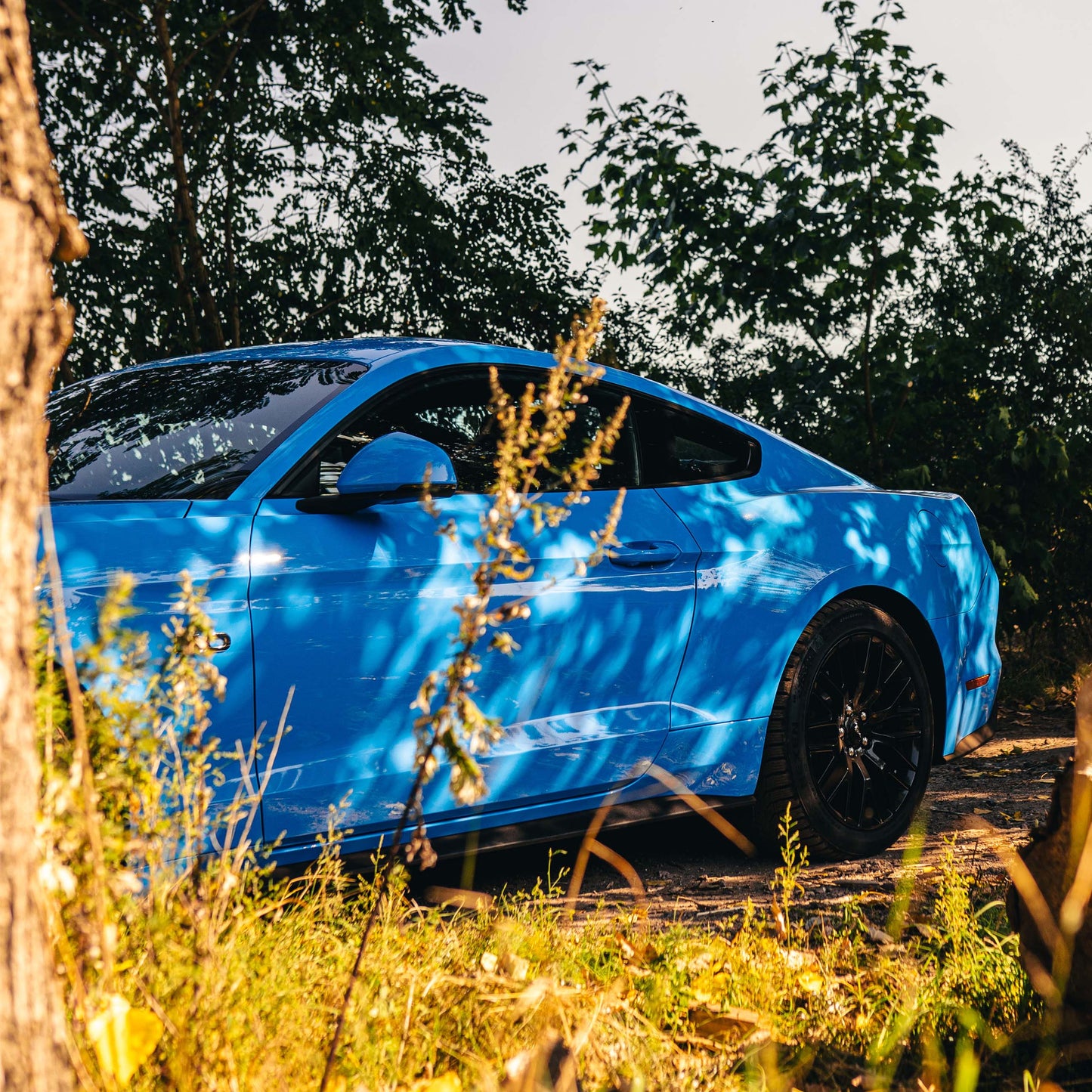 Ford Mustang GT Tagesmiete